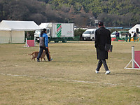 Img_1211