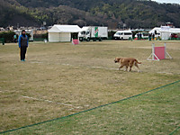 Img_1224